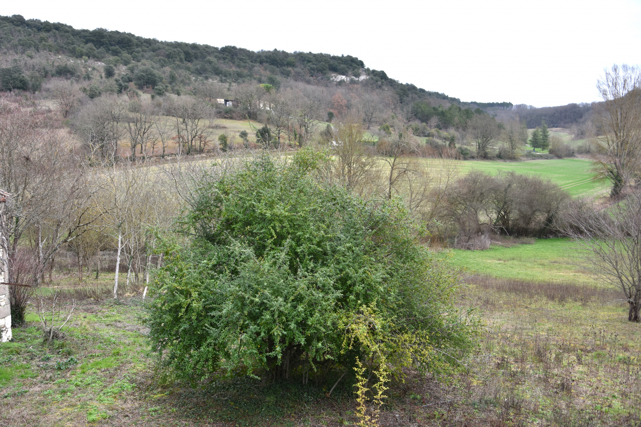 Maison de village en pierres à rénover.