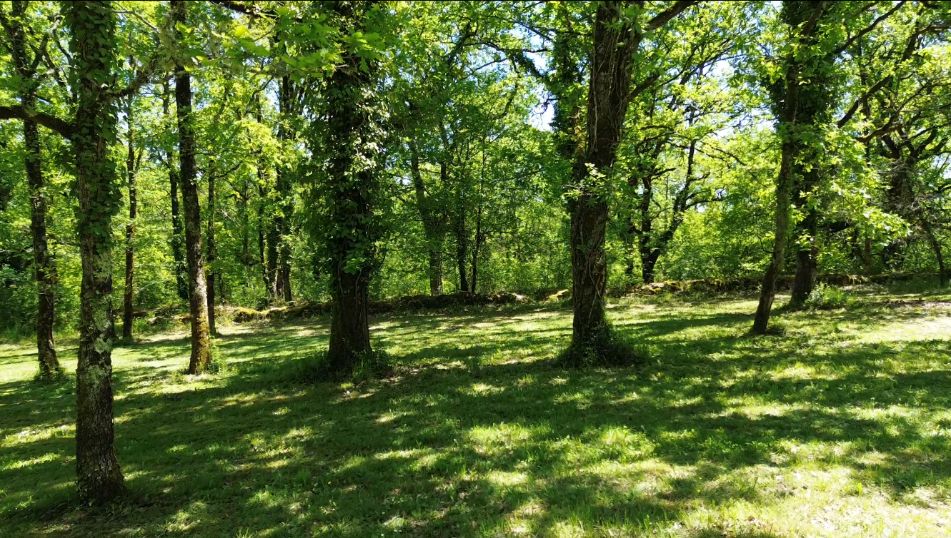 Jolie propriété contemporaine : le calme, la forêt et les performances.