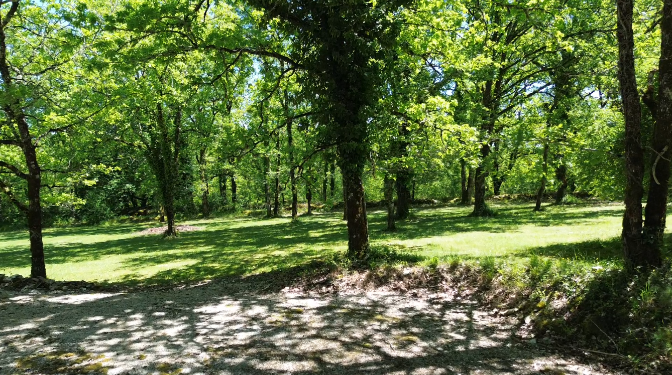 Jolie propriété contemporaine : le calme, la forêt et les performances.