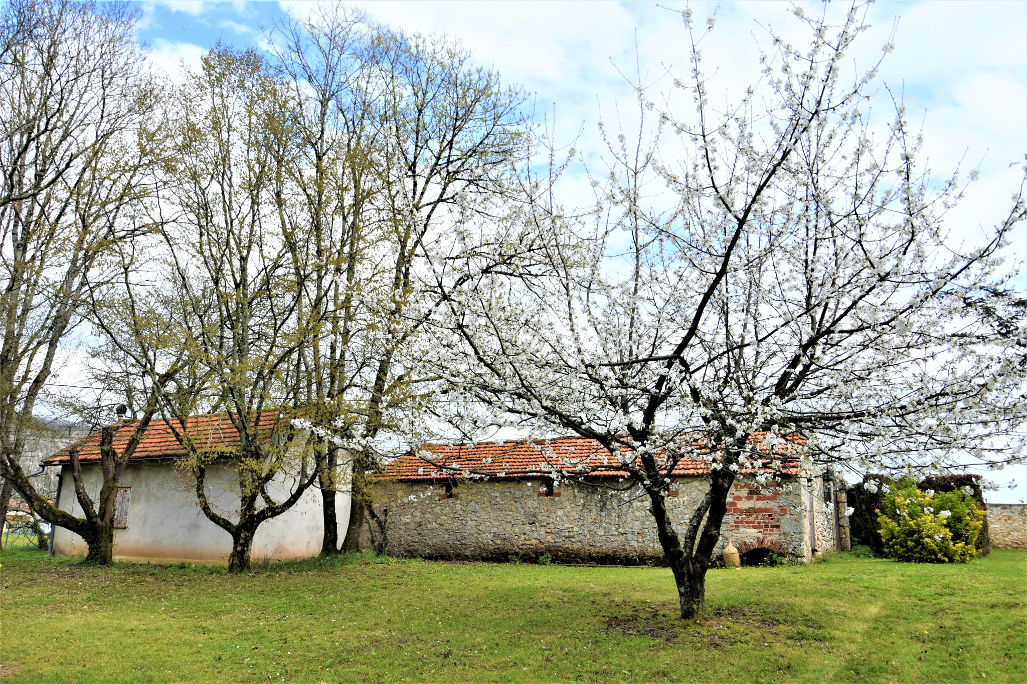 Très belle maison en pierre et son jardin à la Française.