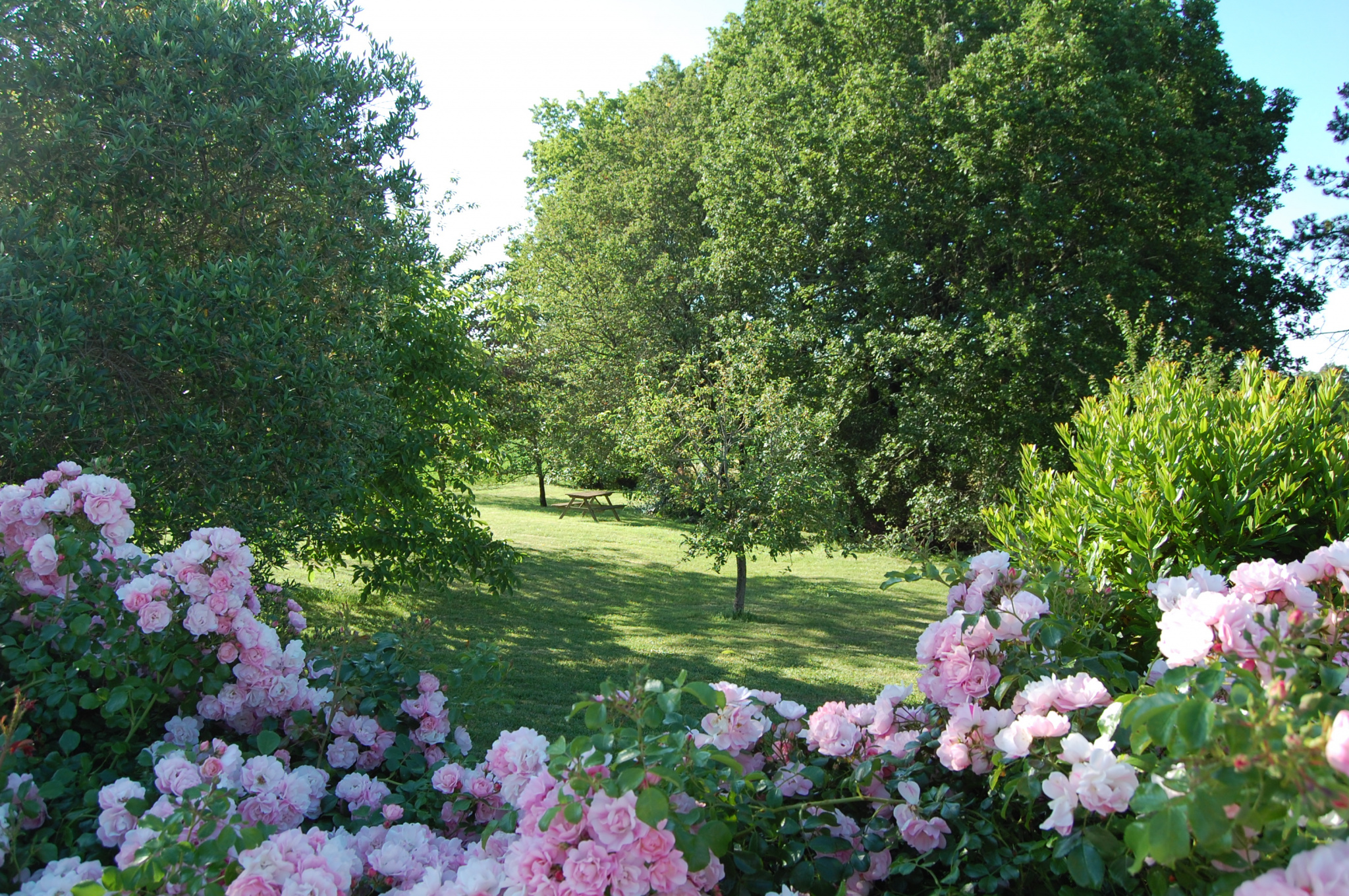 Authentique propriété familiale ou maison de campagne, A voir !