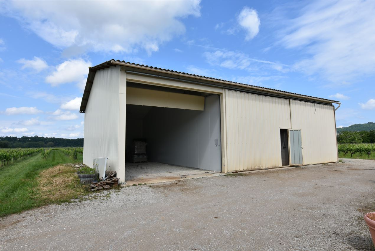 Magnifique maison de vigneron, son chai et son vignoble renommés.