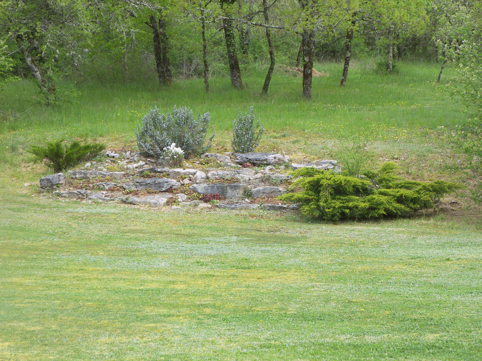 Jolie propriété contemporaine : le calme, la forêt et les performances.